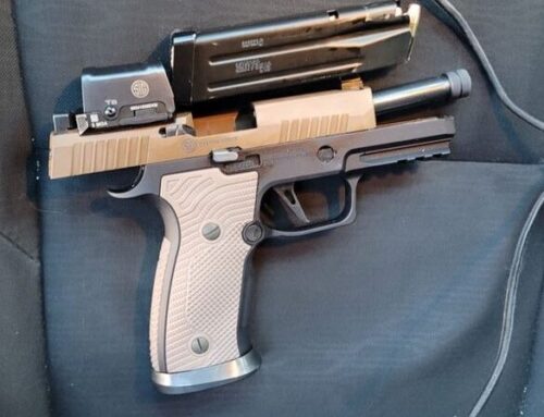 Minnesota Bellwether