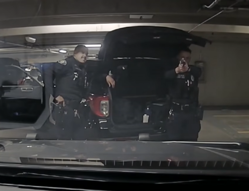 Pasadena PD “Horseplay”